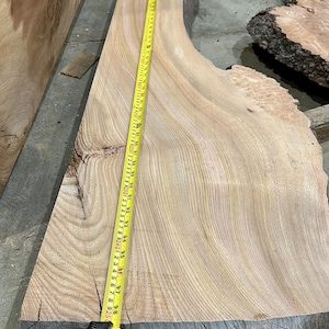 Burr Elm Live Edge Wood Slab: Ugnstorkad, naturlig karaktär (provpaket) bild 8