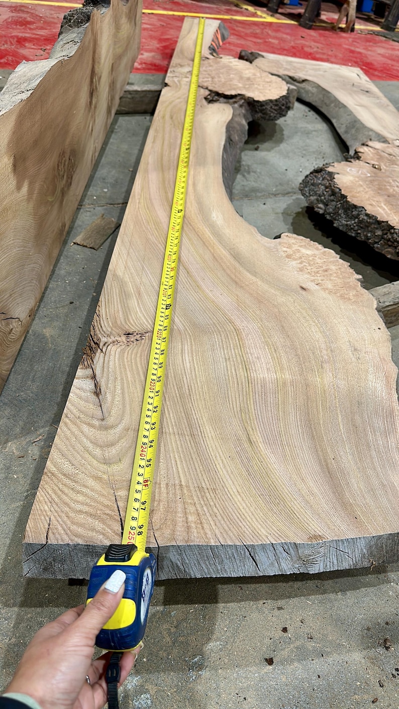 Burr Elm Live Edge Wood Slab: Ugnstorkad, naturlig karaktär (provpaket) bild 8