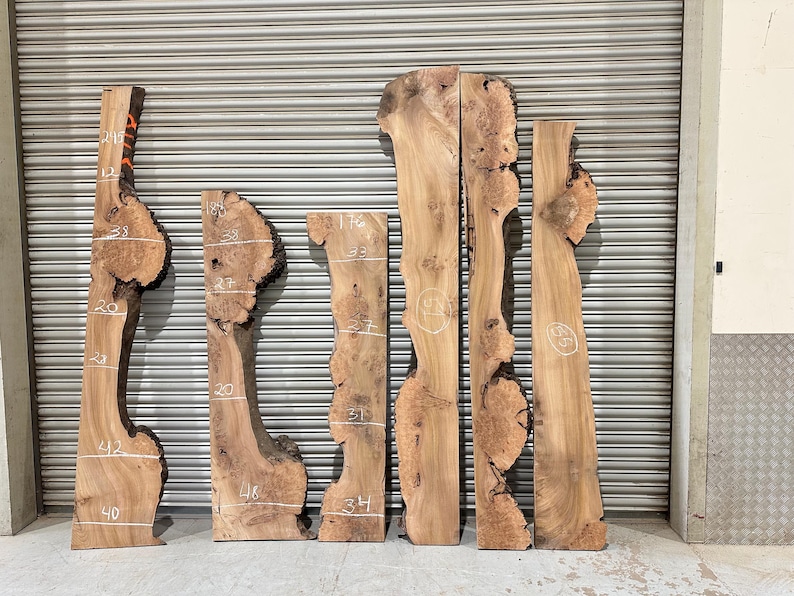 Burr Elm Live Edge Wood Slab: Ugnstorkad, naturlig karaktär (provpaket) bild 4