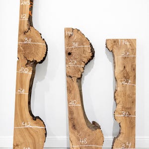 Burr Elm Live Edge Wood Slab: Ugnstorkad, naturlig karaktär (provpaket) bild 3