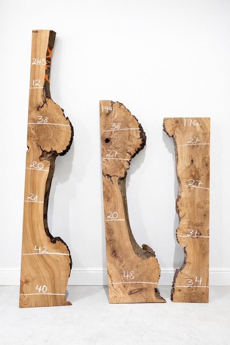 Burr Elm Live Edge Wood Slab: Ugnstorkad, naturlig karaktär (provpaket) bild 3