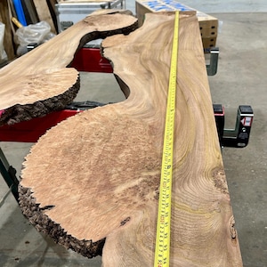 Burr Elm Live Edge Wood Slab: Ugnstorkad, naturlig karaktär (provpaket) bild 7