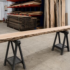 May include: A long, rectangular wooden slab with a natural live edge, featuring a light brown wood grain surface. The slab is supported by two black plastic sawhorses, positioned horizontally to display the length and texture of the wood.