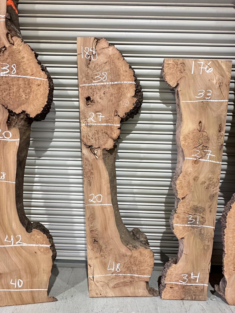 Burr Elm Live Edge Wood Slab: Ugnstorkad, naturlig karaktär (provpaket) bild 5