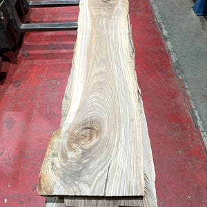K&ouml;nnte beinhalten: Eine lange, unbehandelte Holzbohle mit Naturkante, hellbrauner und beiger Maserung, markanten Astl&ouml;chern und organischen Kanten. Die Oberfl&auml;che zeigt eine sichtbare Holzmaserung sowie eine kreisf&ouml;rmige Markierung mit der eingeschriebenen Zahl 48.