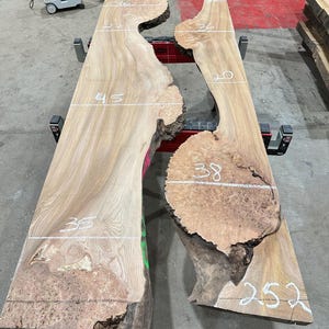 Burr Elm Live Edge Wood Slab: Ugnstorkad, naturlig karaktär (provpaket) bild 9