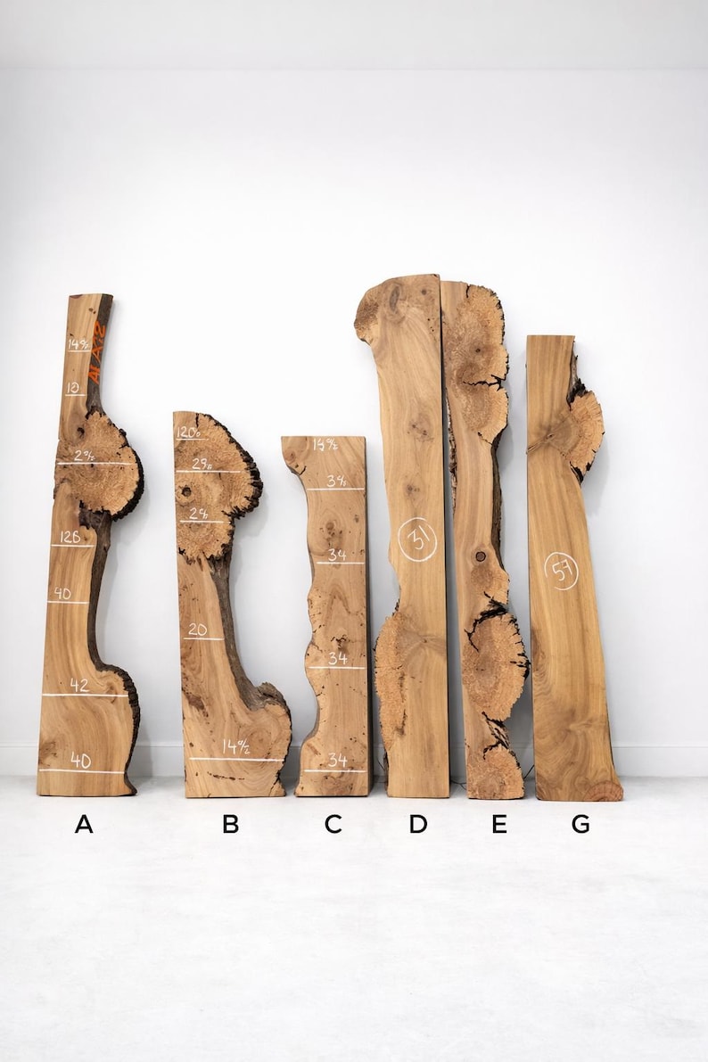 Burr Elm Live Edge Wood Slab: Ugnstorkad, naturlig karaktär (provpaket) bild 1