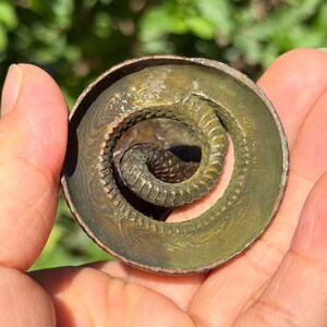 May include: A circular bronze-toned metal object featuring a coiled snake design. The outer rim is smooth and slightly raised, while the inner section displays a textured, segmented snake body curled into a spiral shape with a weathered patina.