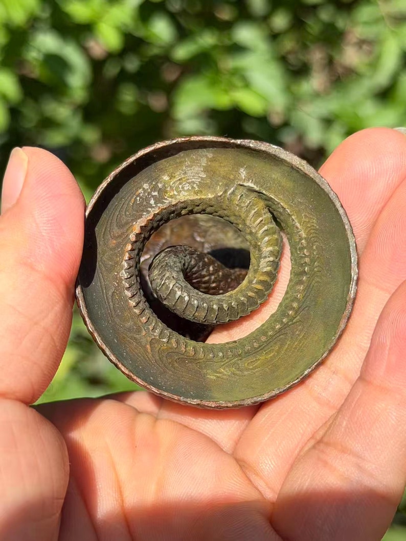May include: A circular bronze-toned metal object featuring a coiled snake design. The outer rim is smooth and slightly raised, while the inner section displays a textured, segmented snake body curled into a spiral shape with a weathered patina.