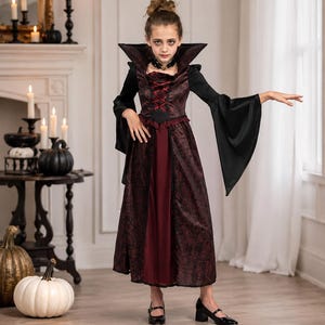 May include: A floor-length vampire costume dress featuring a dark red and black patterned bodice with a high collar, long flared sleeves, and a solid dark red skirt panel. The bodice includes a red lace-up detail and a black choker necklace.