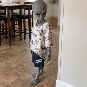May include: A grey alien figure with large black eyes, wearing a short-sleeved cream-colored shirt featuring a brown dinosaur print pattern and dark blue athletic shorts with two white vertical stripes on the side of the left leg.
