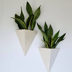 May include: Two white, geometric wall planters, each holding a snake plant. The snake plants have long, green leaves with yellow edges. The planters are triangular and mounted on a white wall.