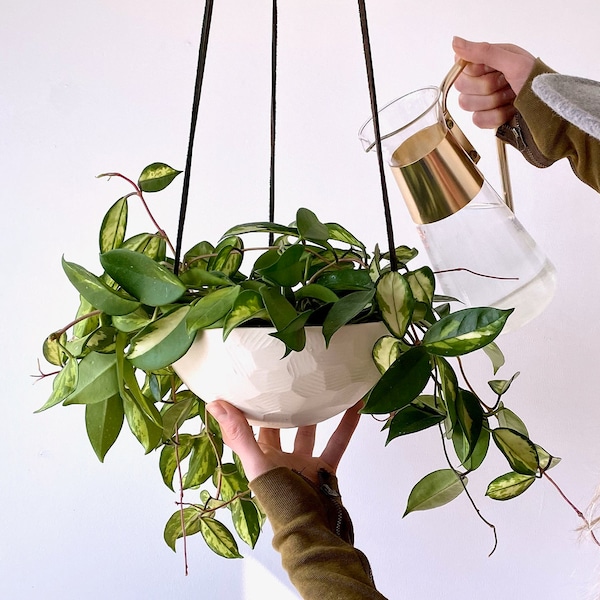 Medium Hanging Planter, Porcelain Ceramic, Geometric Faceted or Smooth finish, choose your Cording