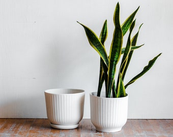 Large Ribbed Ceramic Planter, White Porcelain Plant Pot, Ridged Plant Pot with Drainage, Large Modern Planter