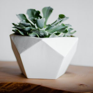 Geodesic Porcelain Planter, White Ceramic Planter, Modern Geo Planter, Pentagon image 1