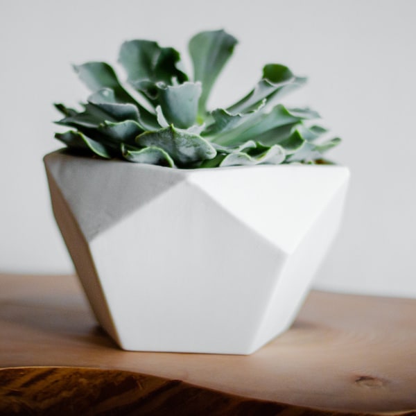 Geodesic Porcelain Planter, White Ceramic Planter, Modern Geo Planter, Pentagon