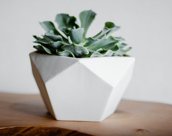 Geodesic Porcelain Planter, White Ceramic Planter, Modern Geo Planter, Pentagon