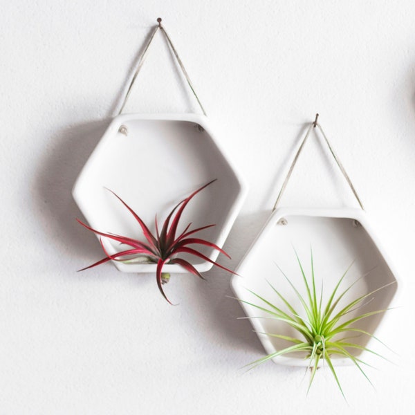 Air Plant Holder, Wall Hexagon Air Planter, Wall Hanging Planter, Geometric Air Planter, Wall Air Plant Holder