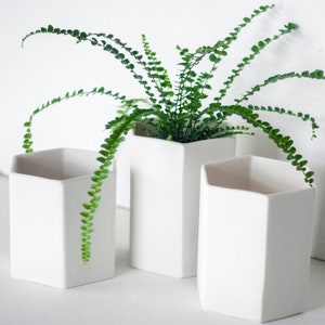 May include: Three white hexagonal ceramic planters with a green fern plant in the center planter.
