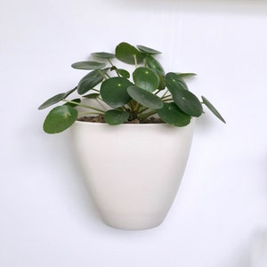 Sierra Porcelain Wall Planter Box: Modern Matte Decor