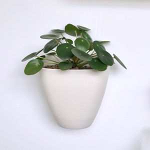 Sierra Porcelain Wall Planter Box, Modern Wall Planter image 1