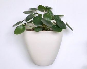 Sierra Porcelain Wall Planter Box, Modern Wall Planter