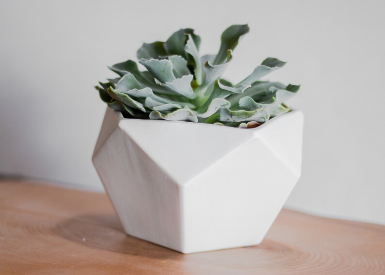 Geodesic Porcelain Planter, White Ceramic Planter, Modern Geo Planter, Pentagon image 3