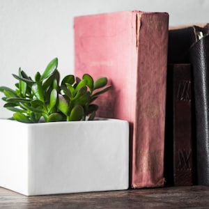 Square White Ceramic Planter: Modern Tabletop Decor, Bookends Planter