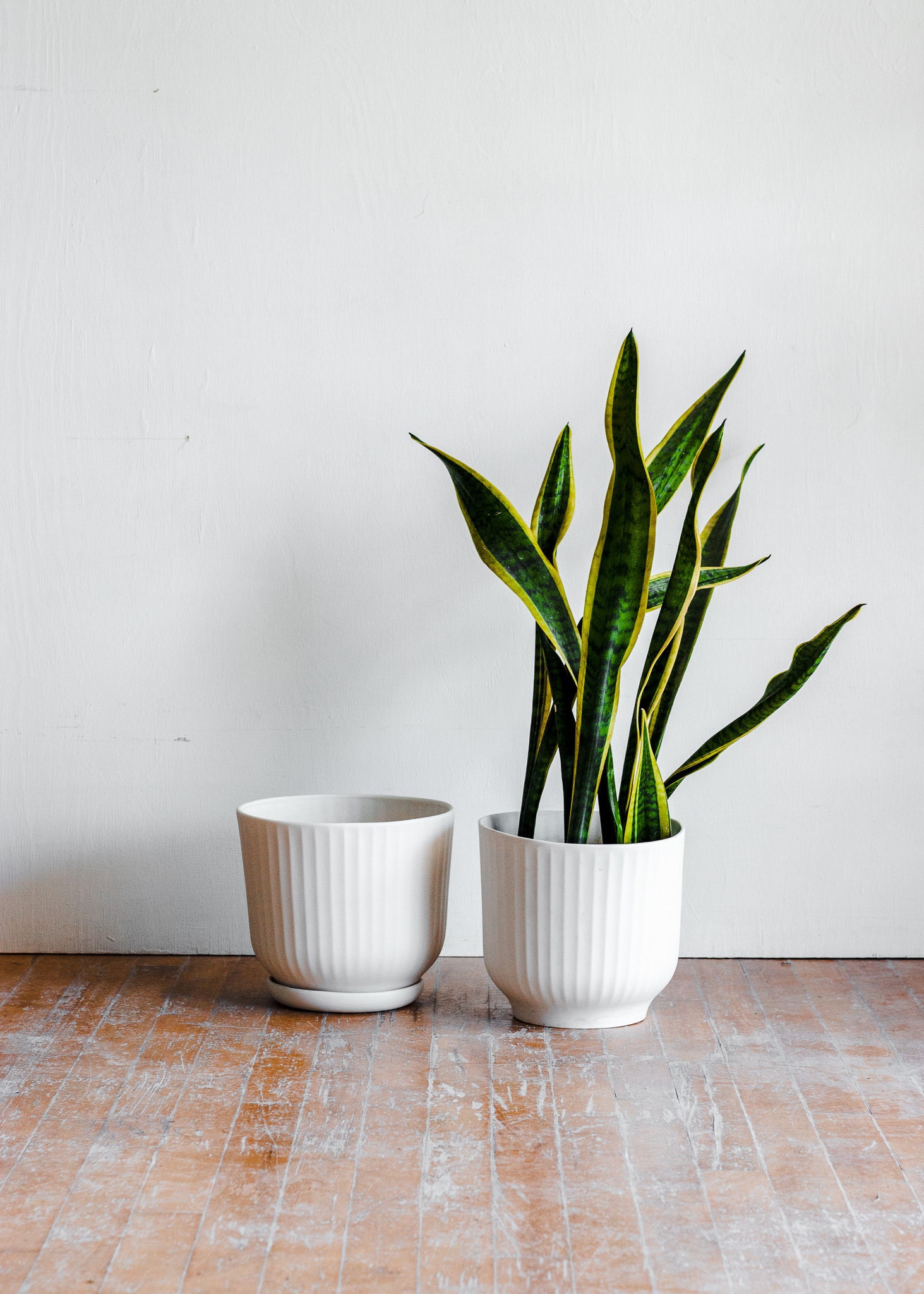 Large Ribbed Ceramic Planter, White Porcelain Plant Pot, Ridged Plant Pot with Drainage, Large Modern Planter