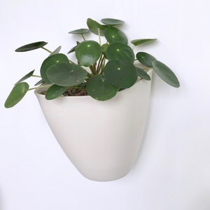 Sierra Porcelain Wall Planter Box, Modern Wall Planter image 2