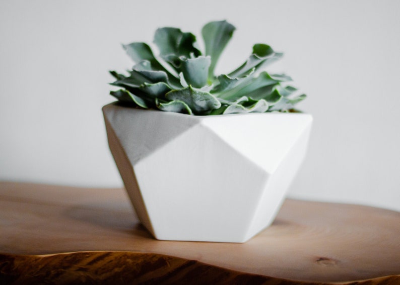 Geodesic Porcelain Planter, White Ceramic Planter, Modern Geo Planter, Pentagon image 1