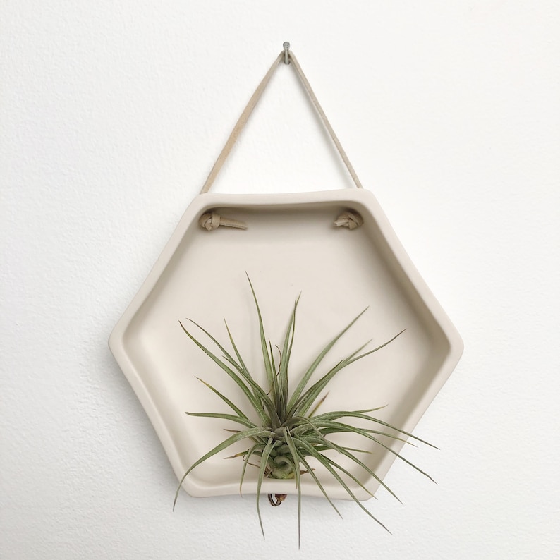 Porcelain Hexagon Air Plant Holder, Wall Hanging Planter, Wall Air planter image 2