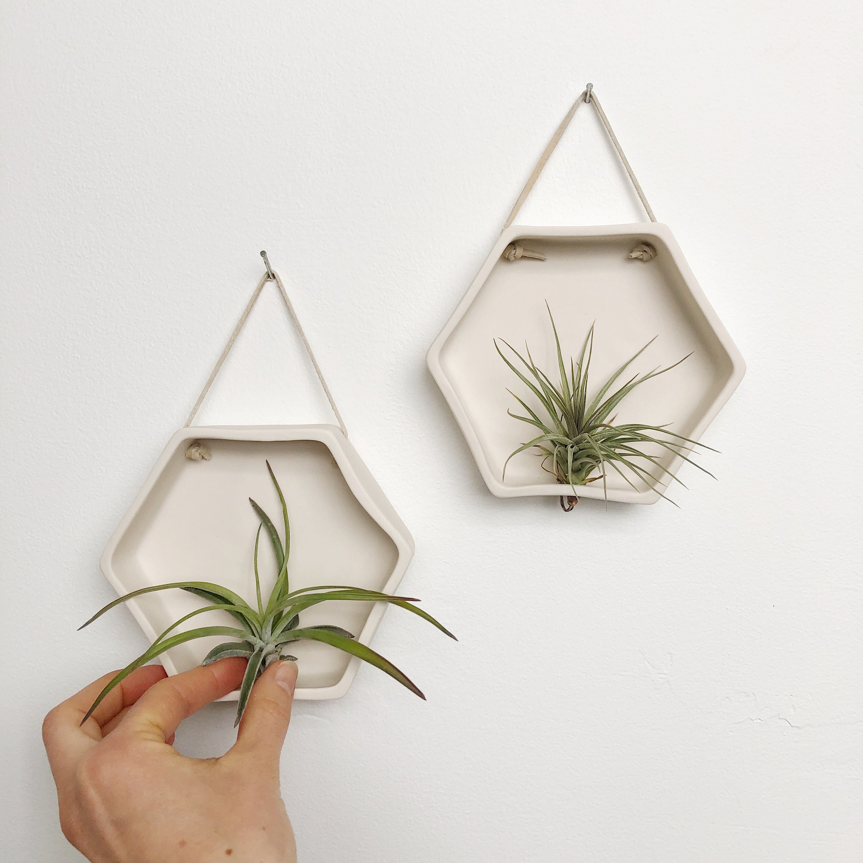 Porcelain Hexagon Air Plant Holder, Wall Hanging Planter