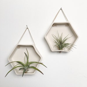 Porcelain Hexagon Air Plant Holder: Wall Hanging Planter