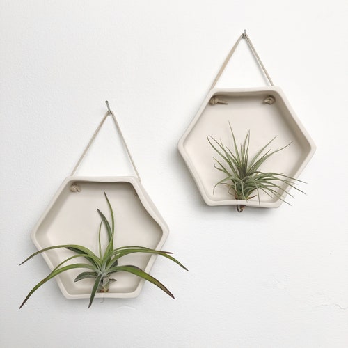 Porcelain Hexagon Air Plant Holder: Wall Hanging Planter