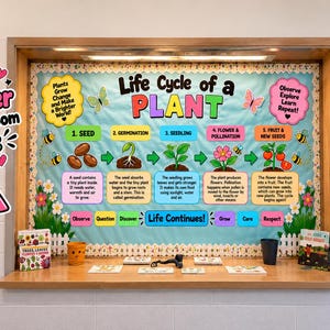 Puede incluir: Un tablón de anuncios de aula titulado Life Cycle of a Plant, que muestra cinco etapas: semilla, germinación, plántula, flor y polinización, y fruto y nuevas semillas. El tablero incluye ilustraciones coloridas, texto descriptivo y abejas.