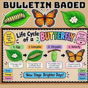 Könnte beinhalten: Eine Pinnwand mit der Überschrift Life Cycle of a Butterfly, die Illustrationen von Eiern auf einem Blatt, einer Raupe, einer Puppe und einem Monarchfalter zeigt. Die Tafel enthält Text zur Beschreibung jeder Phase und motivierende Sprüche.