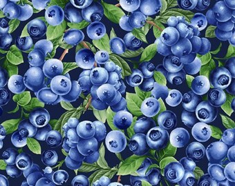 Timeless Treasures FRESH FRUIT Blueberries Bush Navy