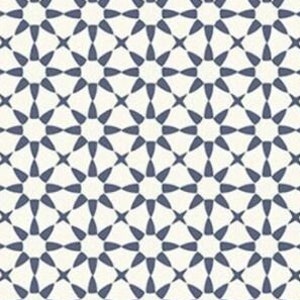 Riley Blake GINGHAM FOUNDRY by My Mind&#39;s Eye Stars Cream