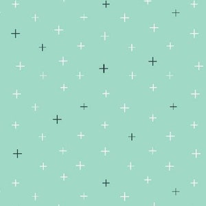 RJR Cotton + Steel BASICS Be Positive Soft Aqua