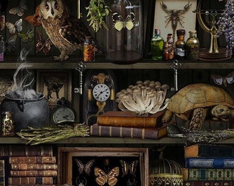 Timeless Treasures MAD SCIENTIST Witch Apothecary Book Shelf