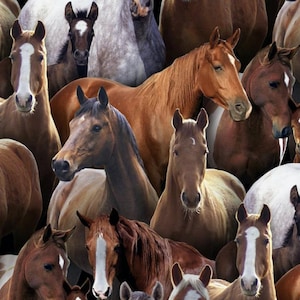 Elizabeth's Studio FARM ANIMALS Horses