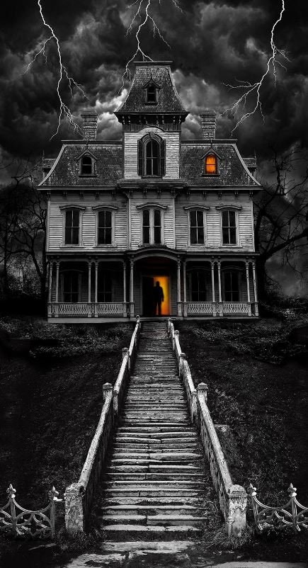 Timeless Treasures WICKED HAUNTED HOUSE Panel - Etsy
