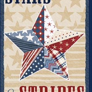 Wilmington Prints STARS OF VALOR Americana Star Panel