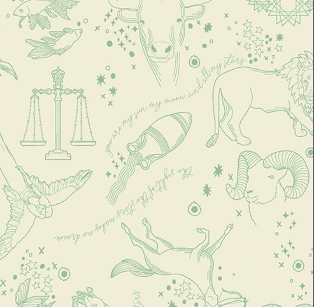 Andover Astrologika by Eye Candy Quilts Infinite Heavens Etsy