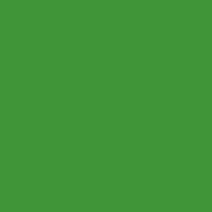 May include: Solid green background.