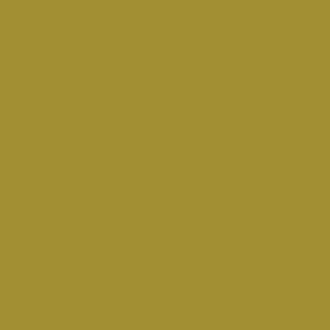 May include: Solid olive drab background. The image is a flat, uniform color, with no visible texture or patterns. The color is a muted, earthy tone, reminiscent of military uniforms or natural foliage.