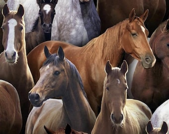 Elizabeth's Studio FARM ANIMALS Horses