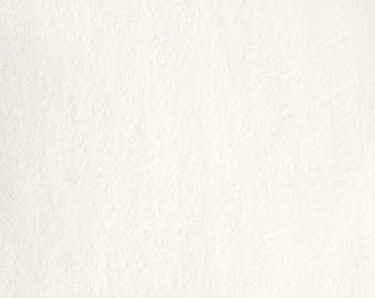 108 WIDE FLANNEL EE Schenck Company/Maywood Solid Flannel Natural