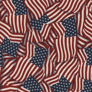 Wilmington Prints STARS OF VALOR Packed Flags Multi